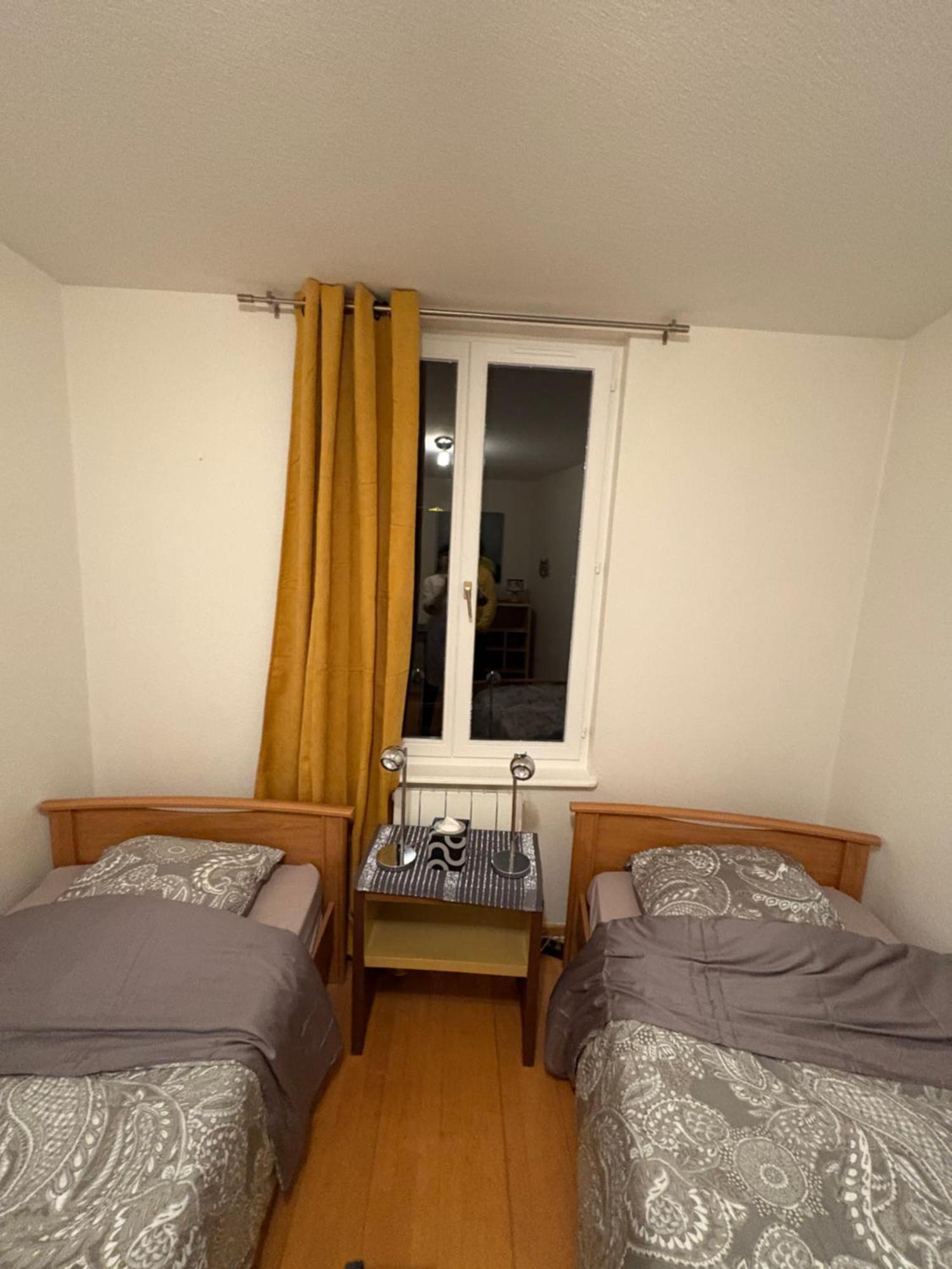 Appart 3P 57 M2 Le Coeur De La Krutenau Strasbourg Ngoại thất bức ảnh